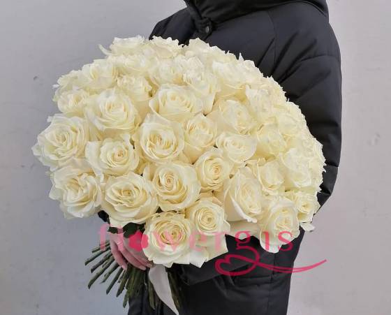 Белые розы ла перла 
